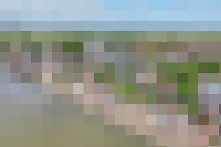 Lekdijksteeg 13 Lekkerkerk thumbnail 40
