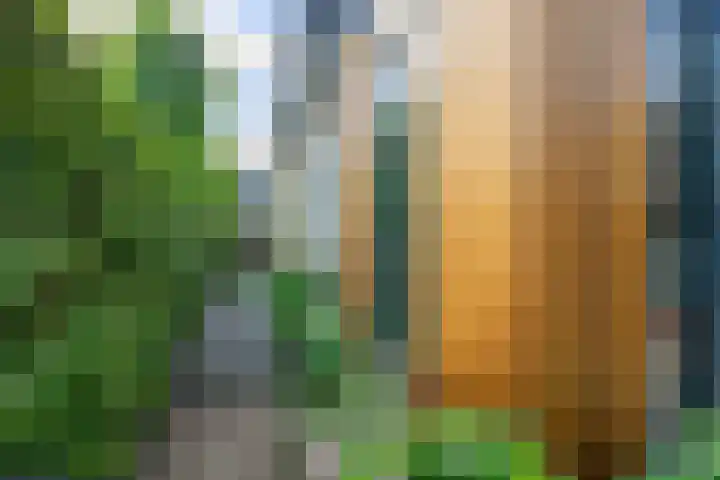 Lekdijksteeg 13 Lekkerkerk thumbnail 5
