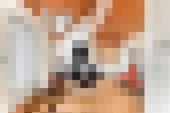Lekerwaard 101 Alkmaar thumbnail 11