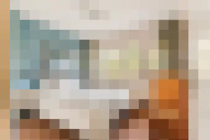 Lekerwaard 101 Alkmaar thumbnail 21