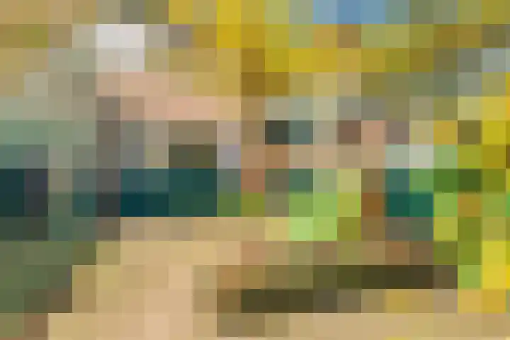 Lekerwaard 101 Alkmaar thumbnail 31