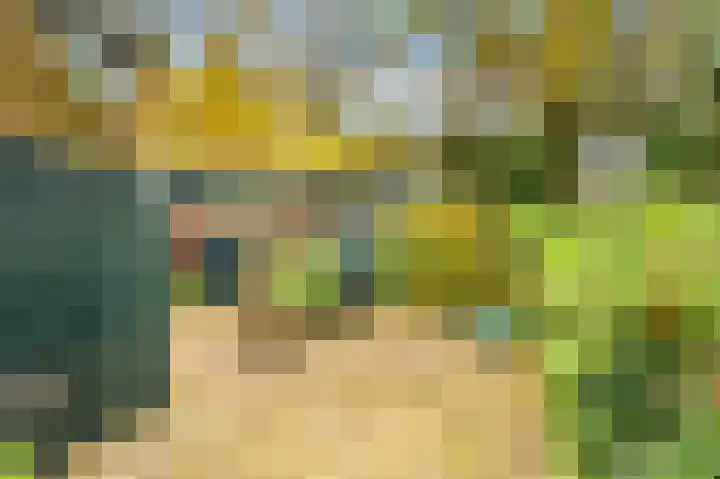 Lekerwaard 101 Alkmaar thumbnail 32