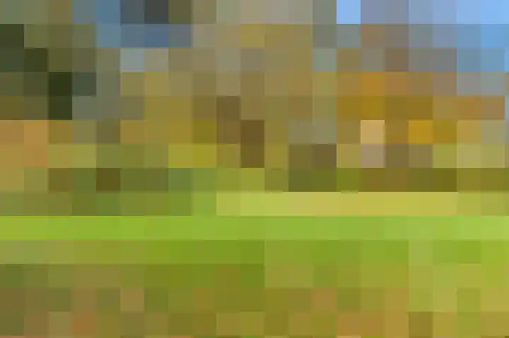 Lekerwaard 101 Alkmaar thumbnail 35