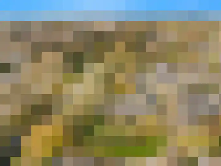 Lekerwaard 101 Alkmaar thumbnail 38