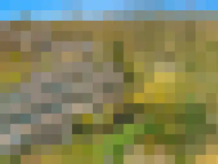 Lekerwaard 101 Alkmaar thumbnail 39