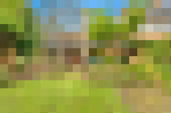 Lekerwaard 101 Alkmaar thumbnail 7
