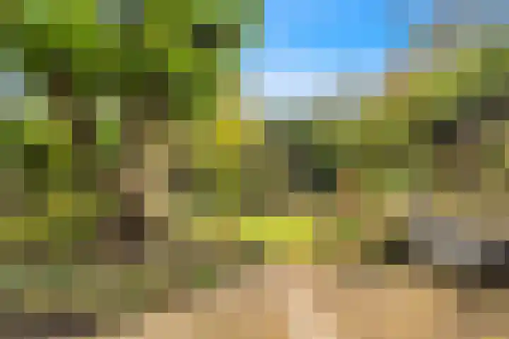 Lekerwaard 101 Alkmaar thumbnail 8