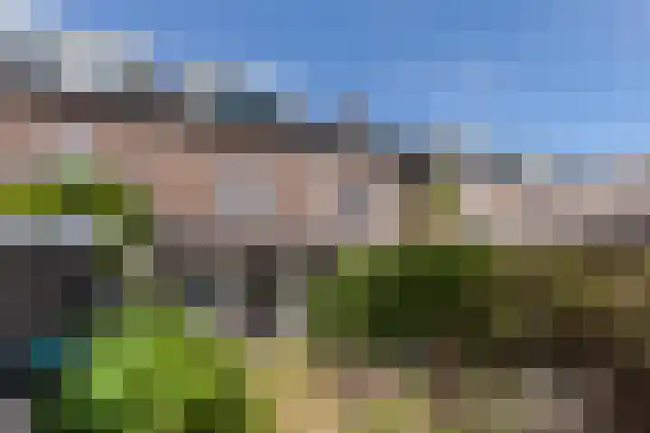 Lekkade 45 Kinderdijk thumbnail 29
