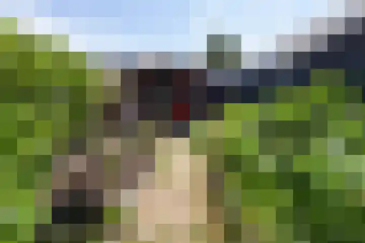 Lekkade 45 Kinderdijk thumbnail 31