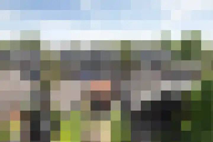 Lekkade 45 Kinderdijk thumbnail 32