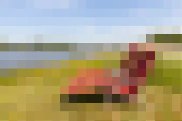 Lekkade 45 Kinderdijk thumbnail 37