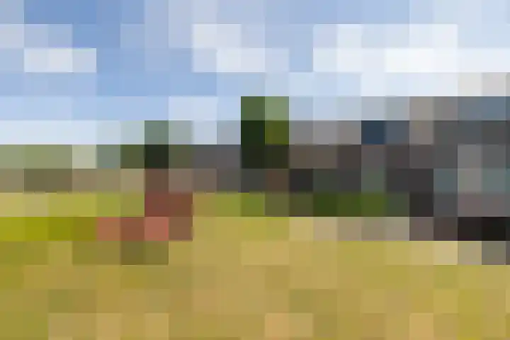 Lekkade 45 Kinderdijk thumbnail 39