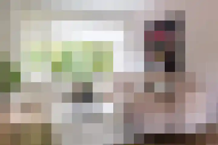Lekkerbeetjenlaan 70 Vught thumbnail 11