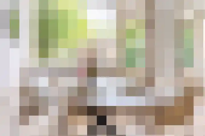 Lekkerbeetjenlaan 70 Vught thumbnail 13
