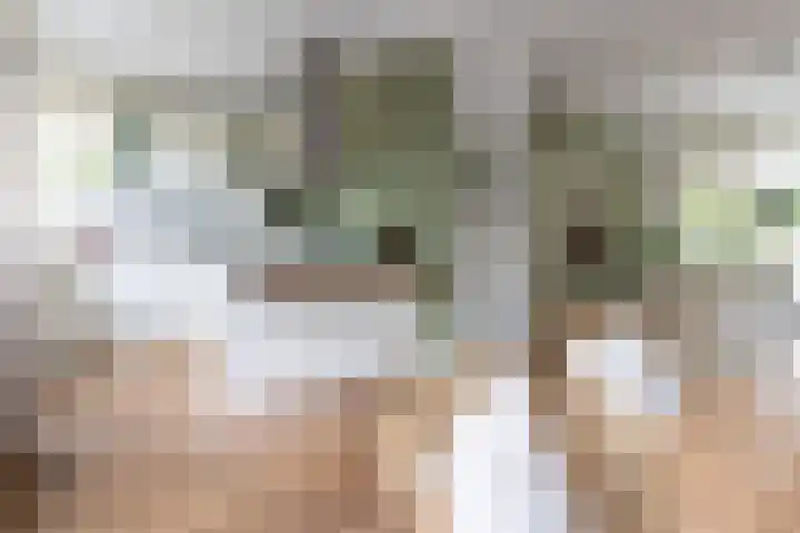 Lekkerbeetjenlaan 70 Vught thumbnail 17