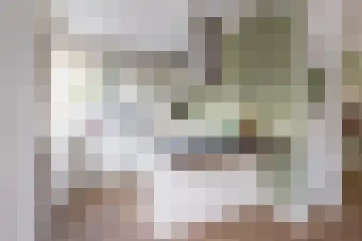Lekkerbeetjenlaan 70 Vught thumbnail 18