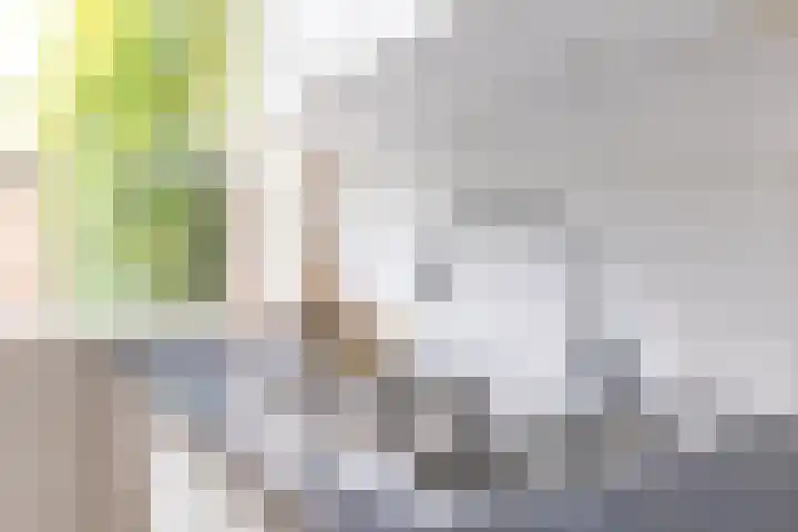 Lekkerbeetjenlaan 70 Vught thumbnail 21