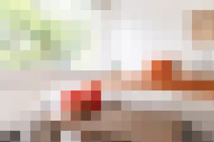 Lekkerbeetjenlaan 70 Vught thumbnail 29