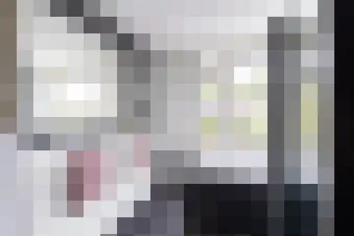 Lekkerbeetjenlaan 70 Vught thumbnail 33