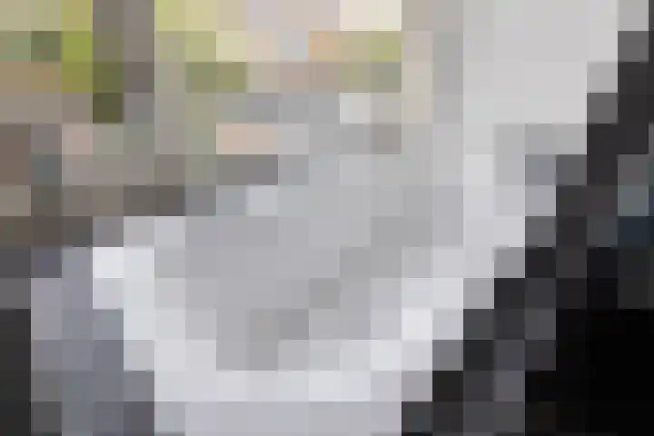 Lekkerbeetjenlaan 70 Vught thumbnail 36