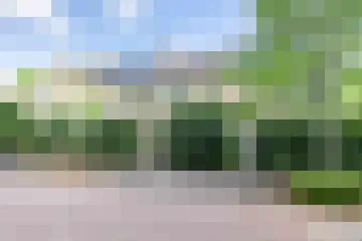 Lekkerbeetjenlaan 70 Vught thumbnail 4