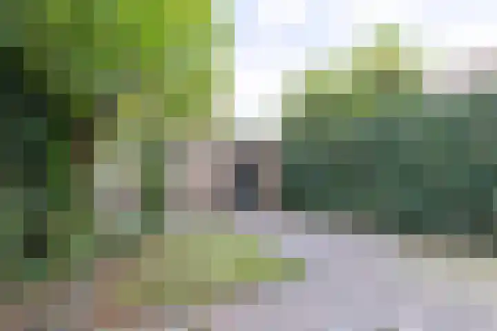 Lekkerbeetjenlaan 70 Vught thumbnail 45