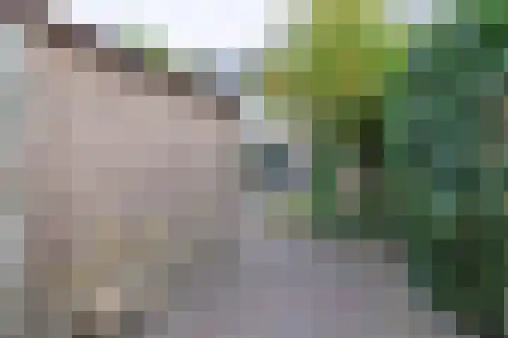 Lekkerbeetjenlaan 70 Vught thumbnail 49