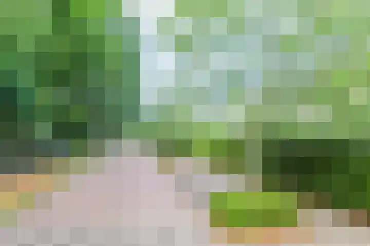 Lekkerbeetjenlaan 70 Vught thumbnail 53