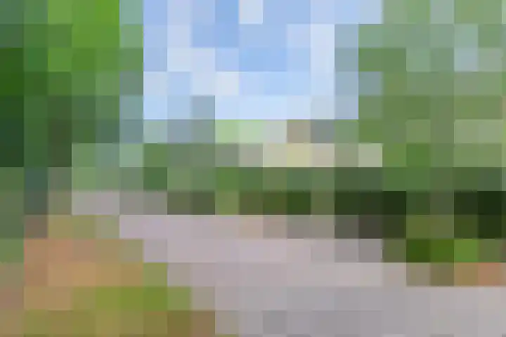 Lekkerbeetjenlaan 70 Vught thumbnail 54