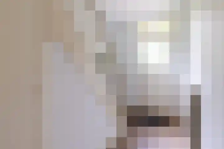 Lekkerbeetjenlaan 70 Vught thumbnail 8