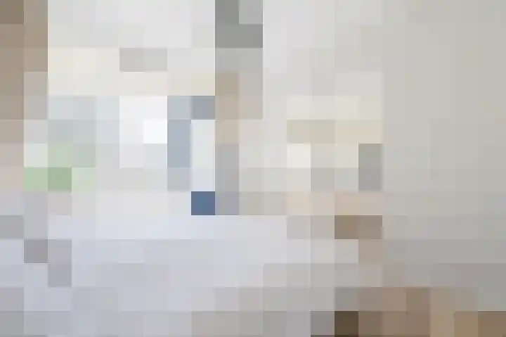 Leksmondhof 110 Amsterdam thumbnail 13