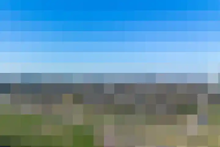 Leksmondhof 110 Amsterdam thumbnail 20