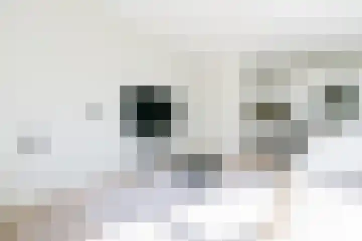 Leksmondhof 110 Amsterdam thumbnail 6