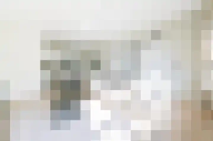 Leksmondhof 110 Amsterdam thumbnail 7