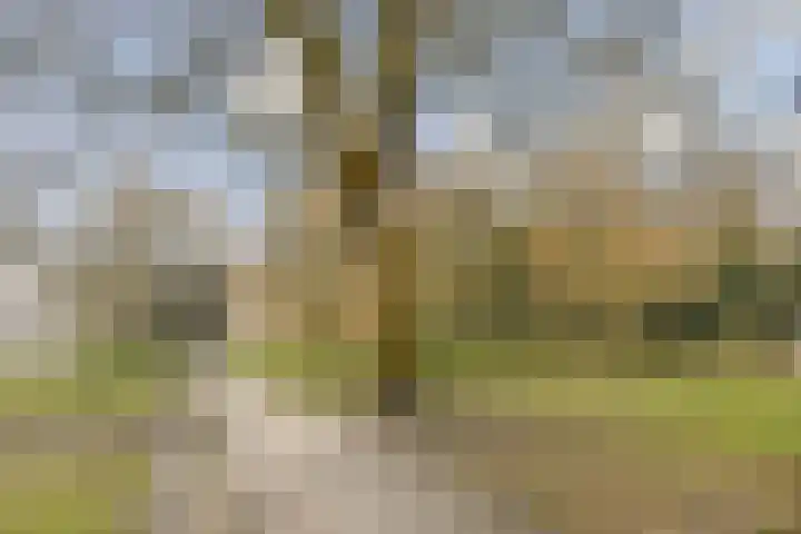 Leksmondhof 111 Amsterdam thumbnail 25