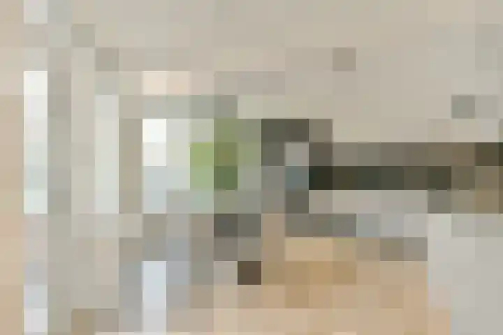 Leksmondhof 111 Amsterdam thumbnail 6