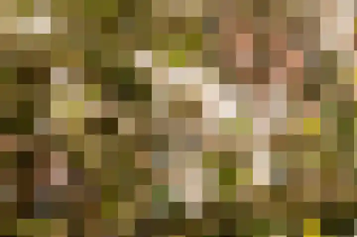Leksmondhof 13 Amsterdam thumbnail 19