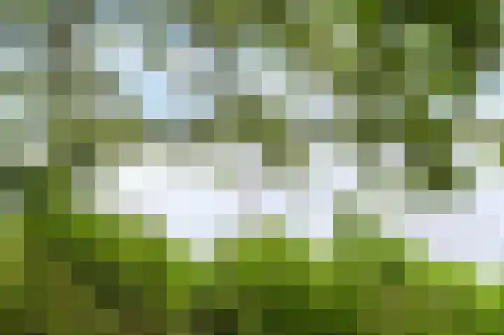 Leksmondhof 13 Amsterdam thumbnail 22