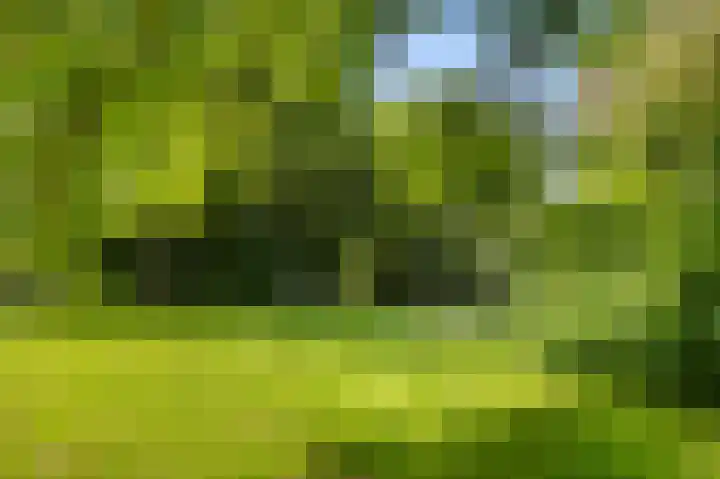 Leksmondhof 13 Amsterdam thumbnail 24
