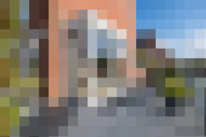 Lekstraat 1 IJsselstein thumbnail 44