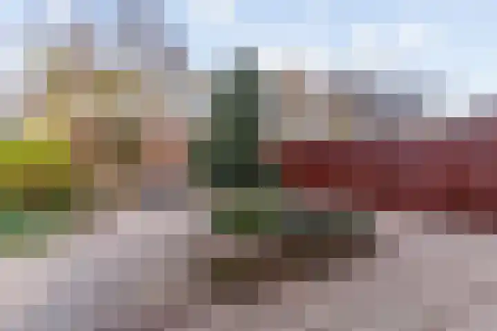 Lekstraat 2 Leiden thumbnail 32