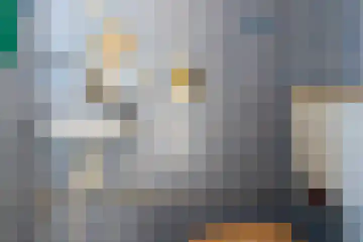 Lekstraat 59 Almere thumbnail 7