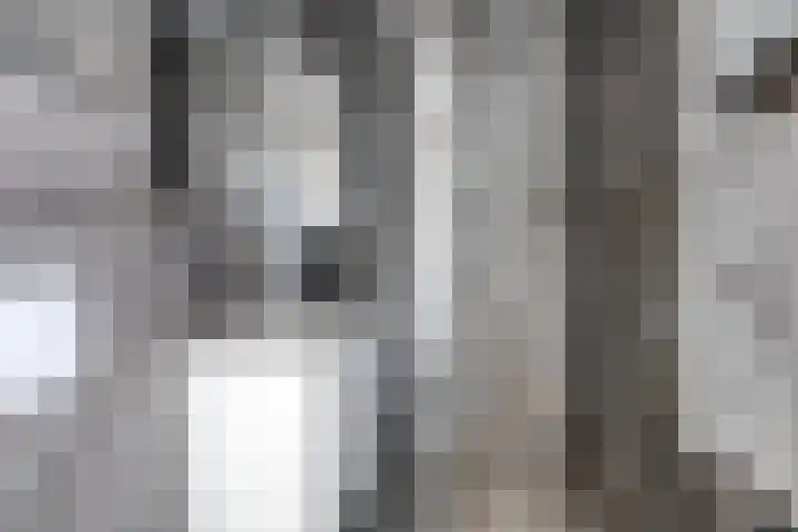 Lekstraat 66 Assen thumbnail 13