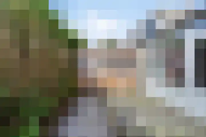 Lekstraat 66 Assen thumbnail 24