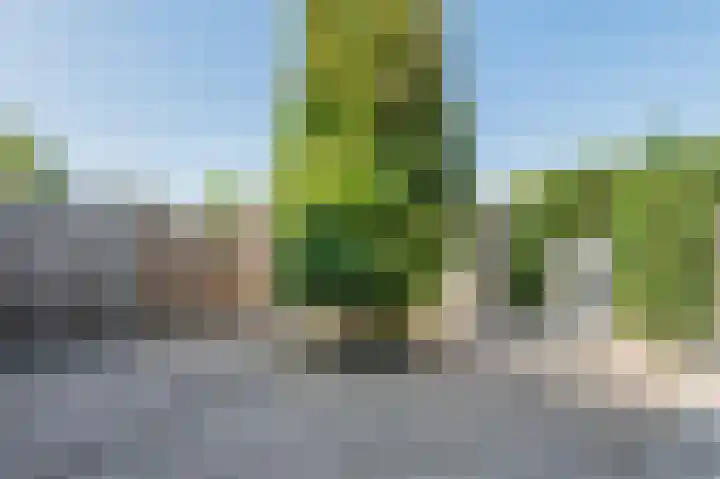 Lekstraat 80 Emmeloord thumbnail 4