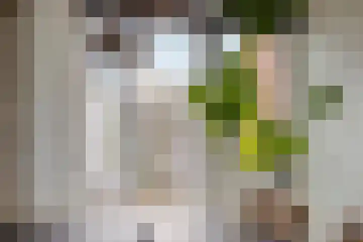 Leliestraat 1 Meppel thumbnail 22