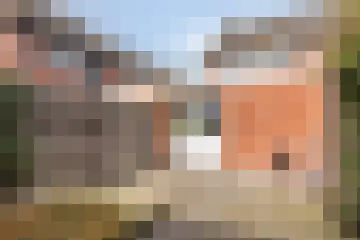 Leliestraat 1 Meppel thumbnail 34