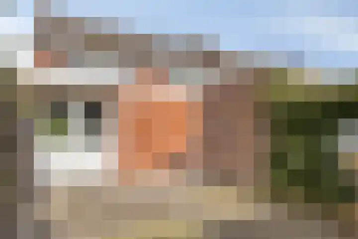 Leliestraat 1 Meppel thumbnail 4