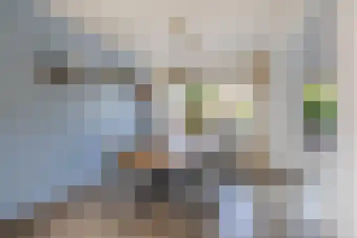 Leliestraat 10 Lisse thumbnail 10