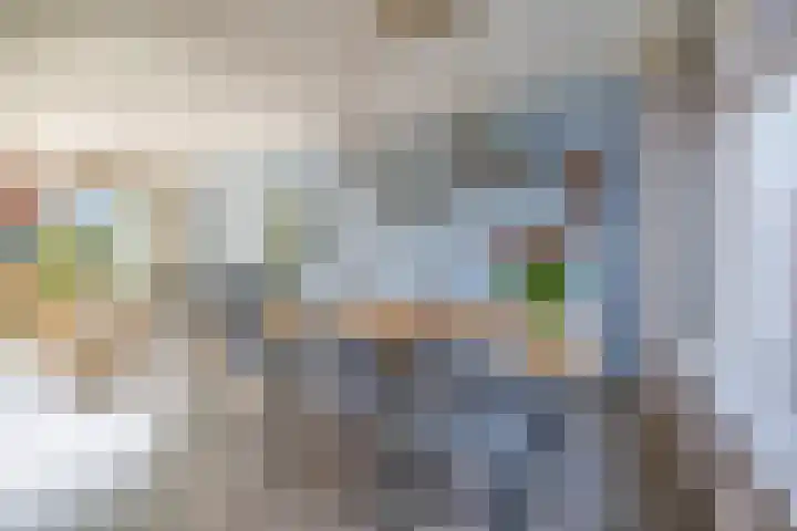 Leliestraat 10 Lisse thumbnail 11